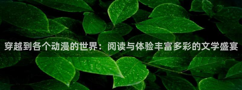 动漫之家社区版下载